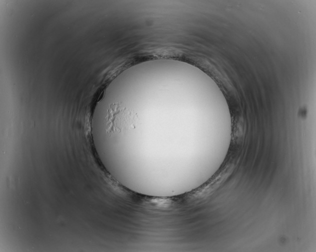 X0000103250478200808281101