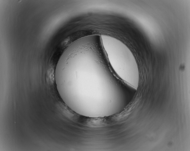 X0000103250479200808281101