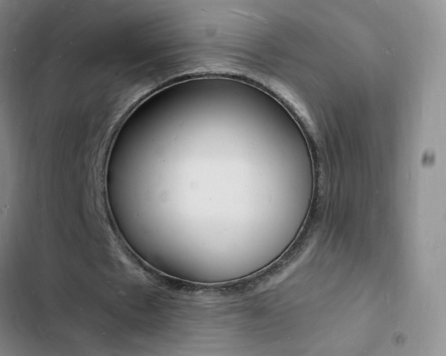 X0000103250481200808281100