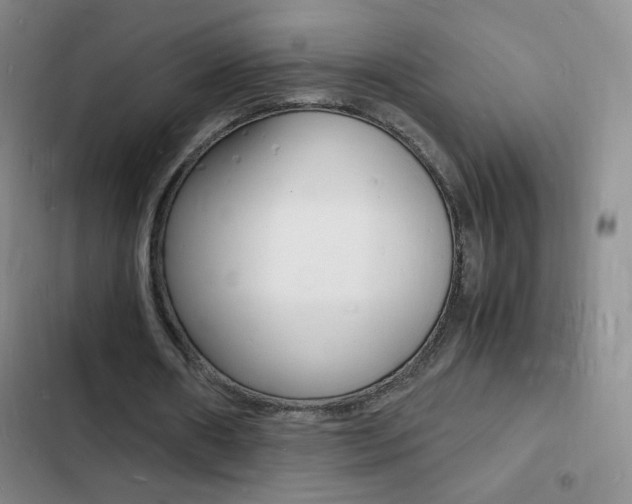 X0000103250482200808281100