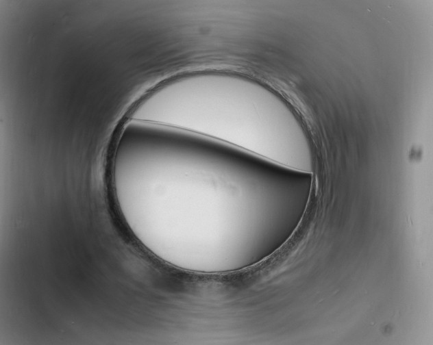 X0000103250483200808281100