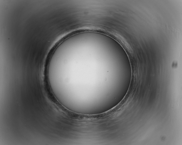 X0000103250484200808281100