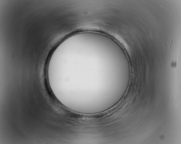 X0000103250487200808281100