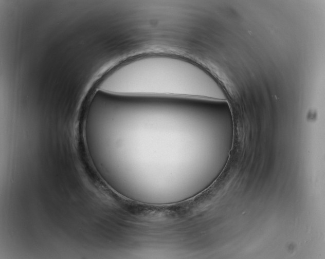 X0000103250488200808281100