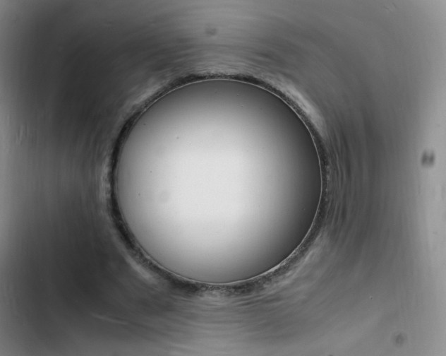 X0000103250489200808281100