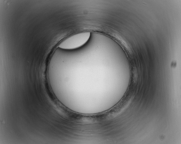 X0000103250490200808281100