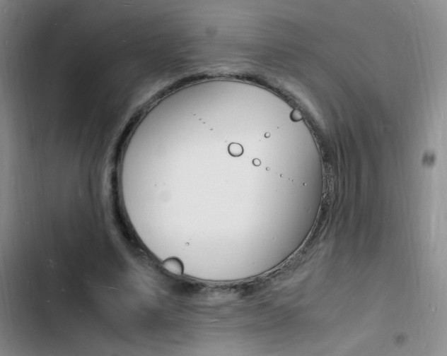 X0000103250491200808281100
