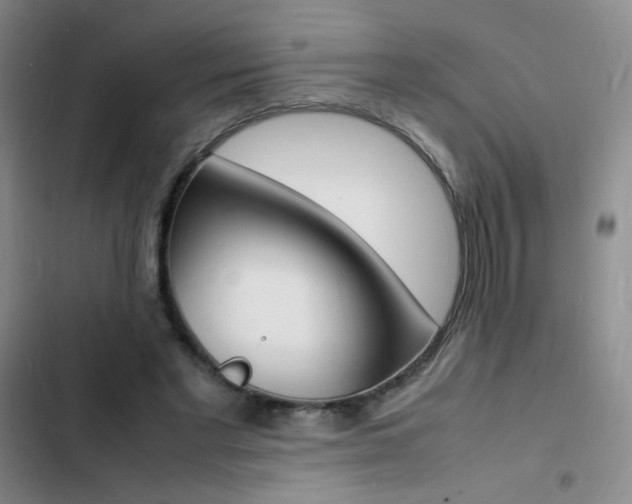 X0000103250493200808281100