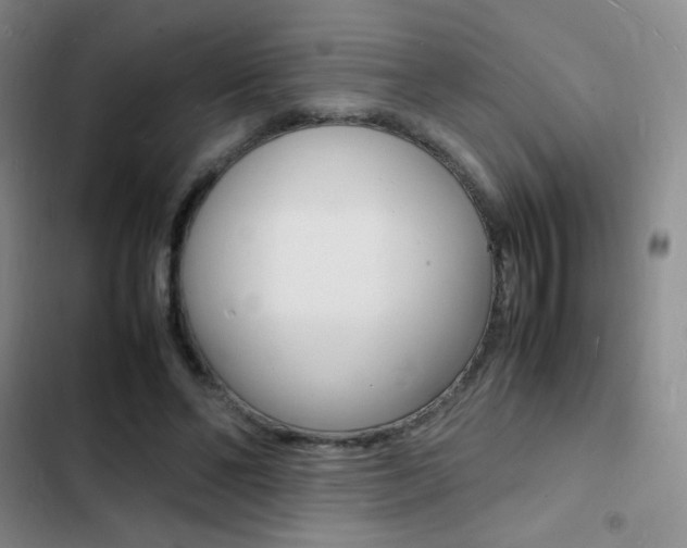 X0000103250494200808281100