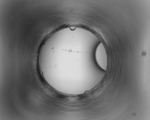 X0000103250495200808281100