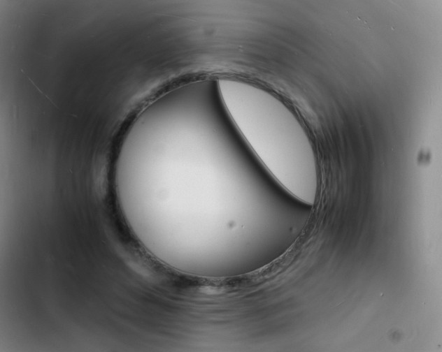 X0000103250496200808281100