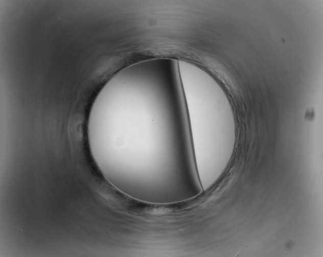 X0000103250501200808281059
