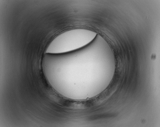 X0000103250502200808281059