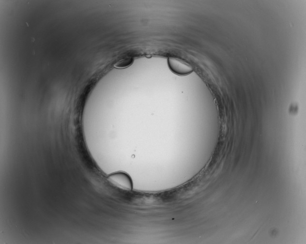 X0000103250503200808281059