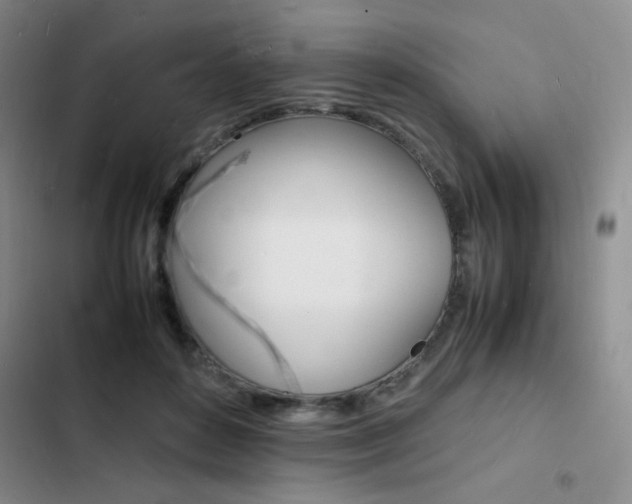 X0000103250504200808281059