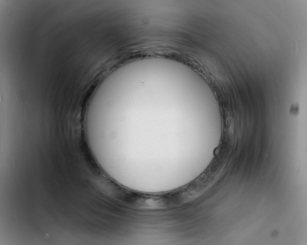 X0000103250506200808281059