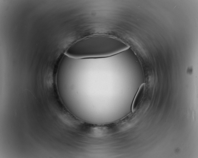 X0000103250508200808281059