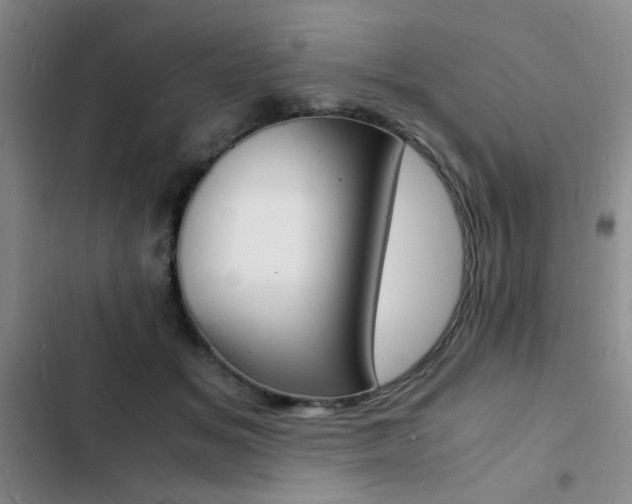 X0000103250509200808281059