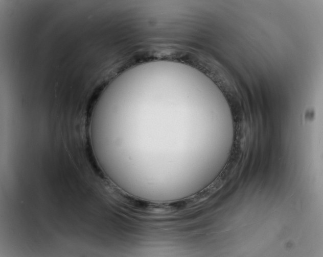 X0000103250510200808281059