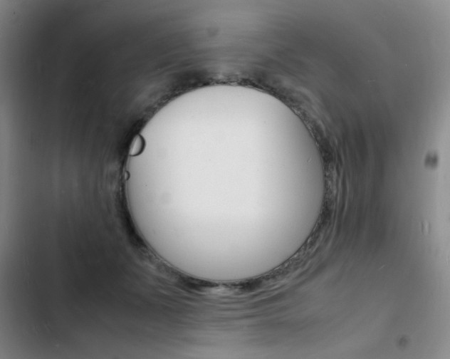 X0000103250511200808281059