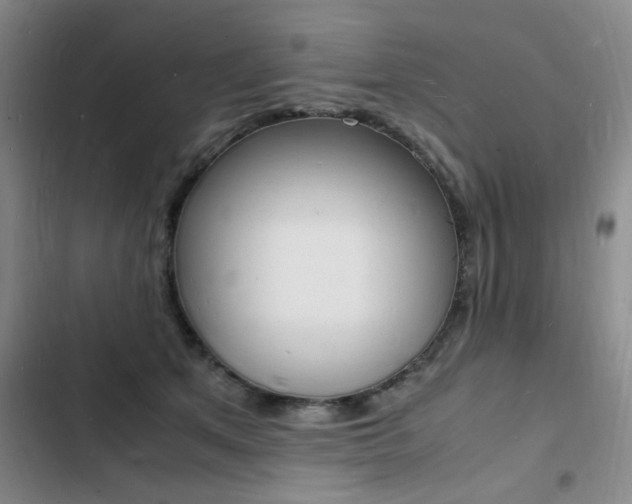 X0000103250513200808281059