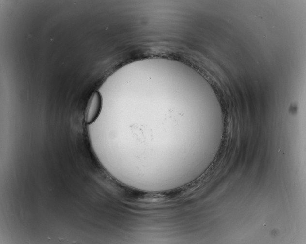 X0000103250514200808281059