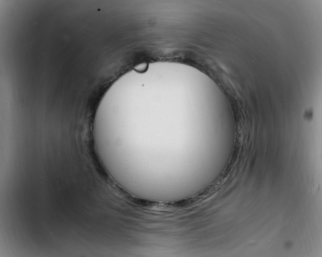 X0000103250515200808281059