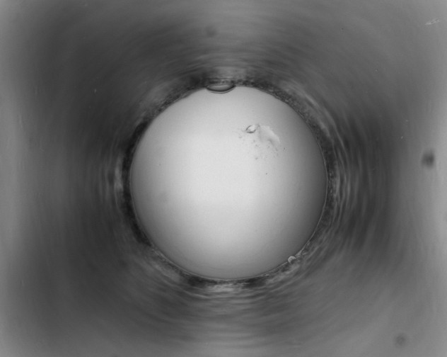 X0000103250516200808281059