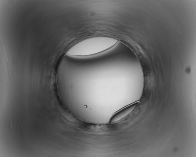 X0000103250517200808281059