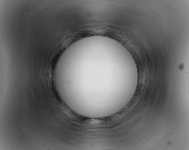 X0000103250518200808281059