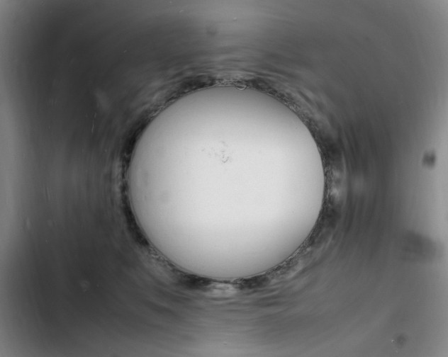 X0000103250519200808281059