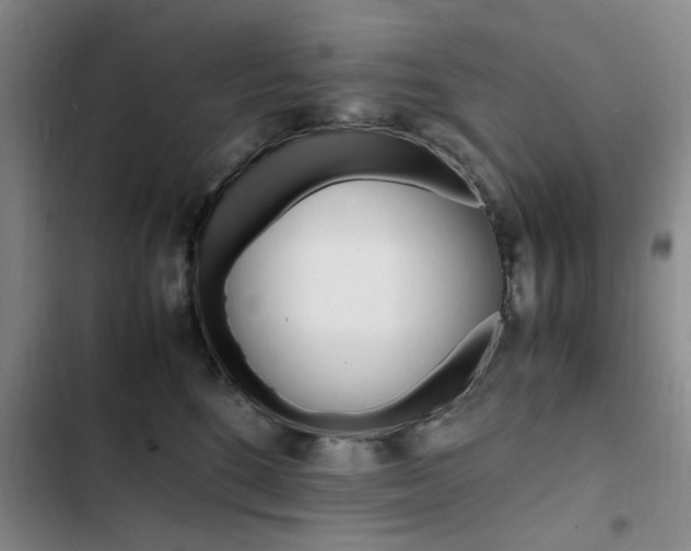X0000103250520200808281059