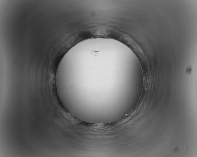 X0000103250521200808281059