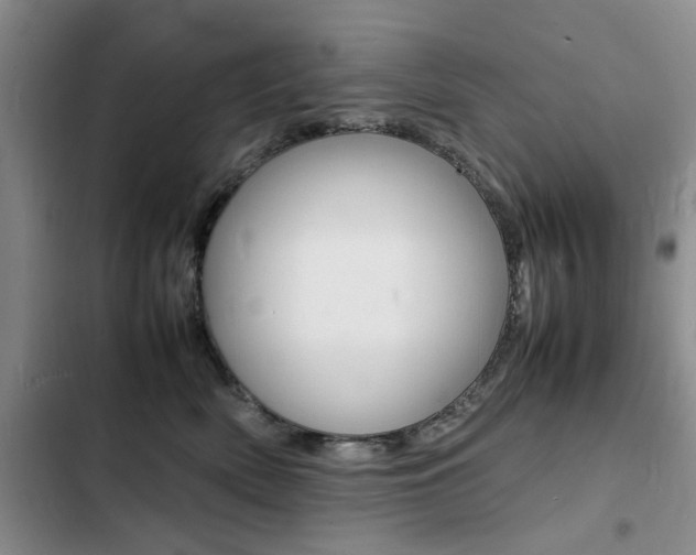 X0000103250522200808281059
