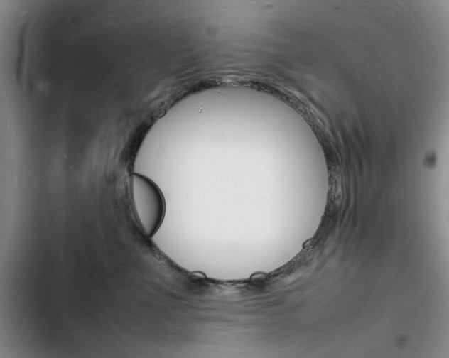 X0000103250523200808281059