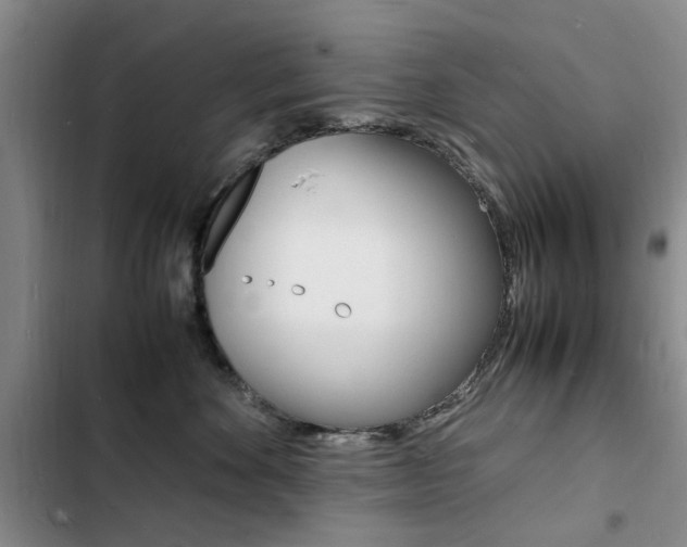 X0000103250524200808281059