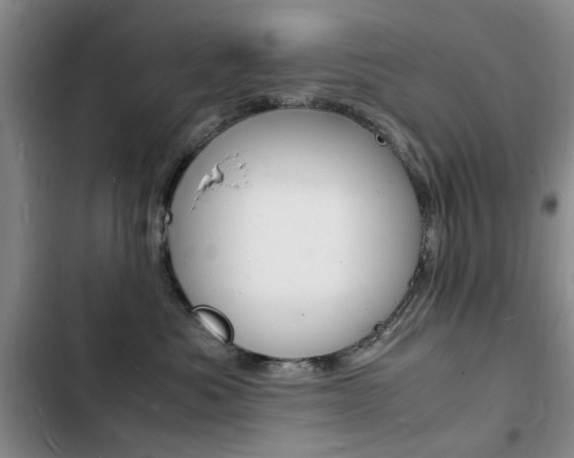 X0000103250525200808281059