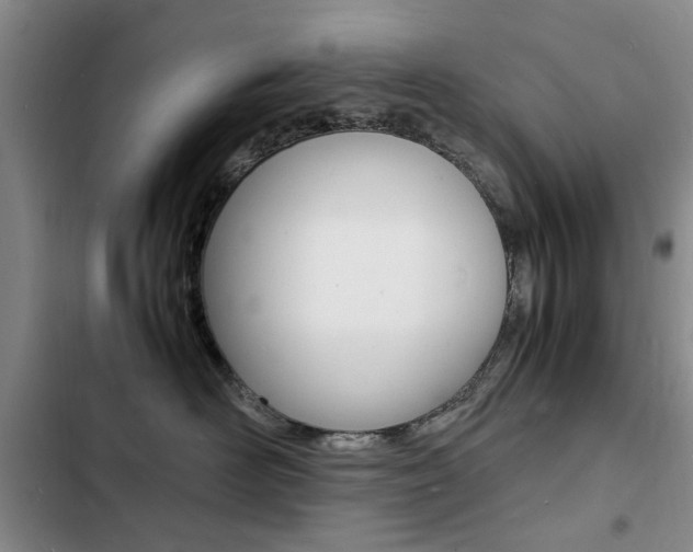 X0000103250526200808281059