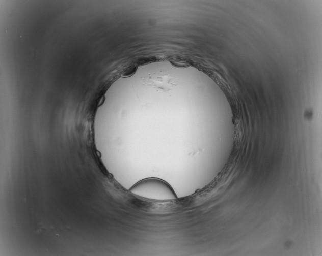 X0000103250527200808281059