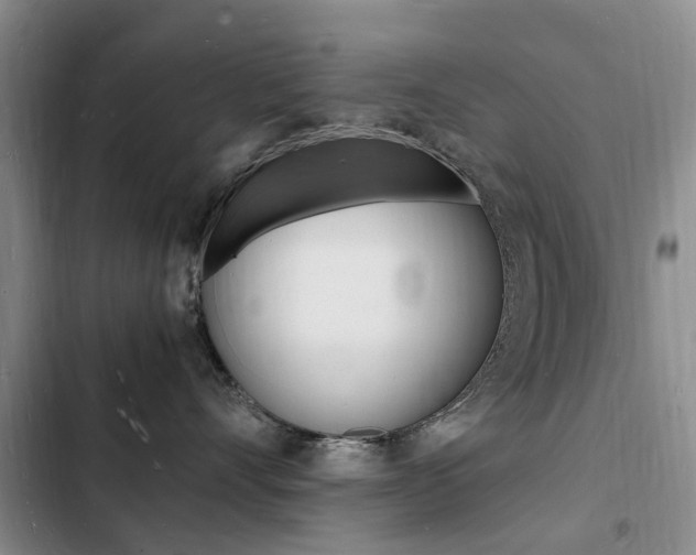 X0000103250528200808281059