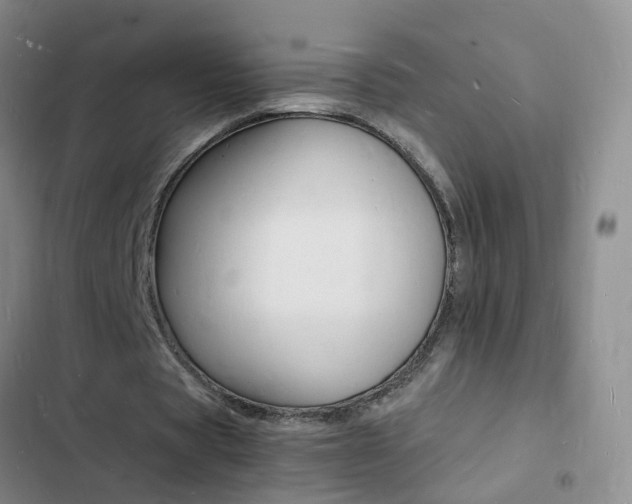 X0000103250529200808281058