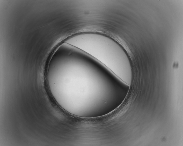 X0000103250530200808281058