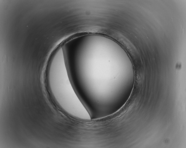 X0000103250532200808281058