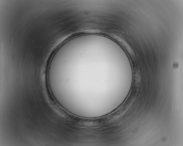 X0000103250533200808281058