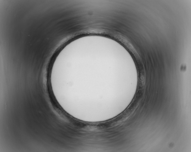 X0000103250534200808281058