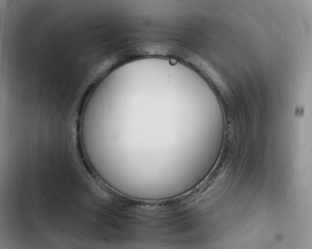 X0000103250537200808281058