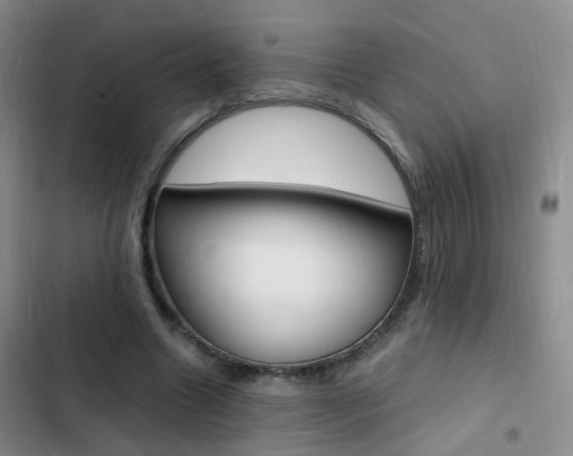 X0000103250538200808281058