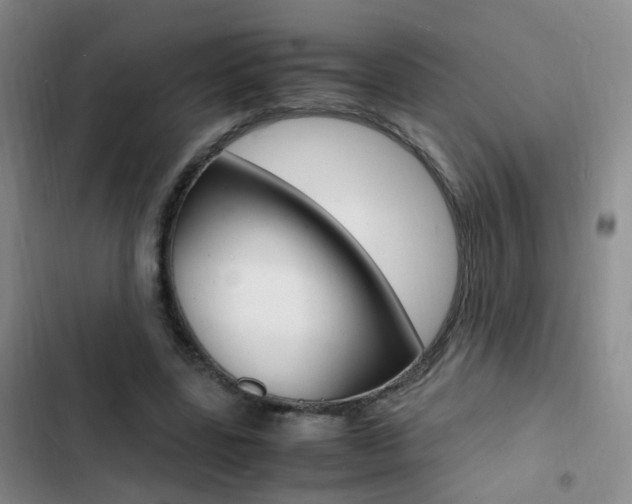 X0000103250539200808281058
