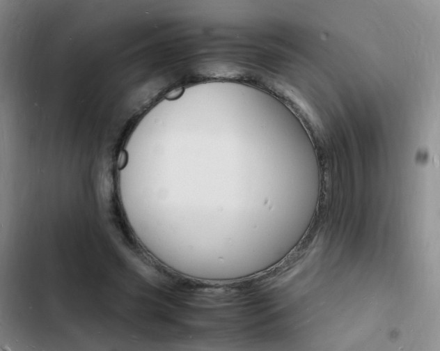 X0000103250541200808281058