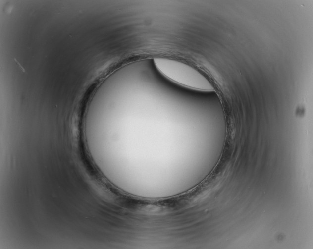 X0000103250542200808281058